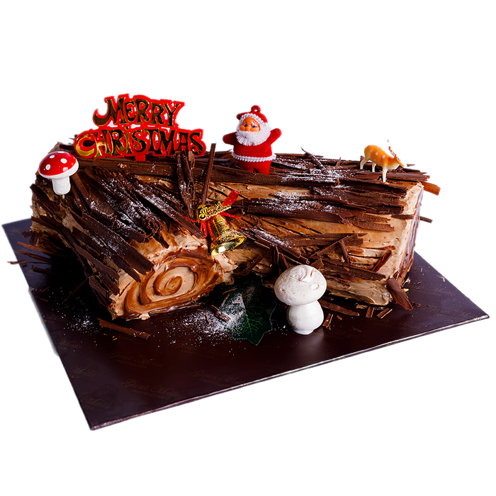 CHOCOLATE-PRALINE YULE LOG, 1 KG